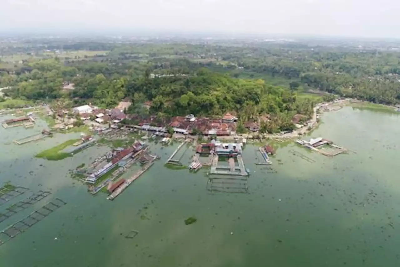 Kisah Petani Karamba Rawa Jombor Banting Setir di Tengah Revitalisasi