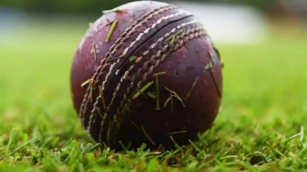 Cricket racism review launches confidential survey