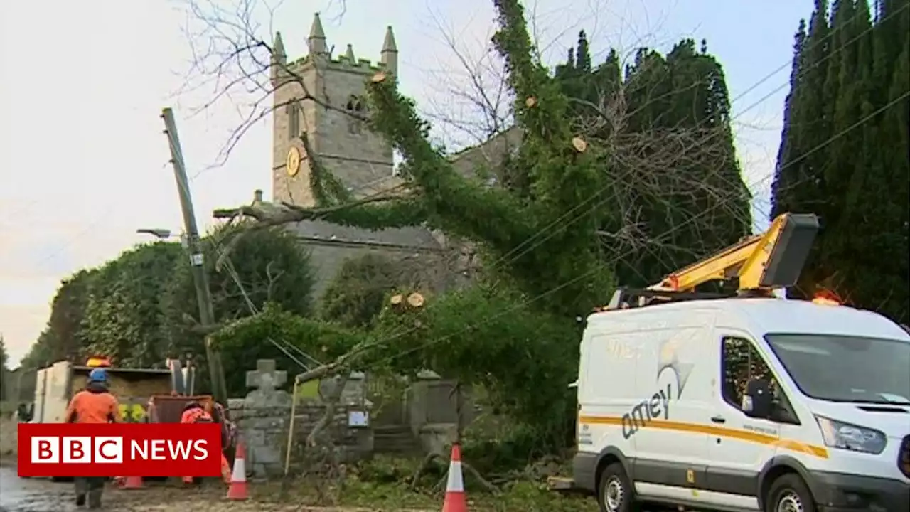 Storm Arwen damage brings £80m claims, insurer says