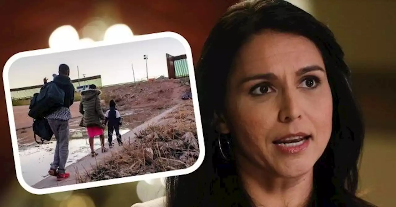 Tulsi Gabbard: Biden-Harris 'Open Border Policy' Helping 'Gangs, Cartels'