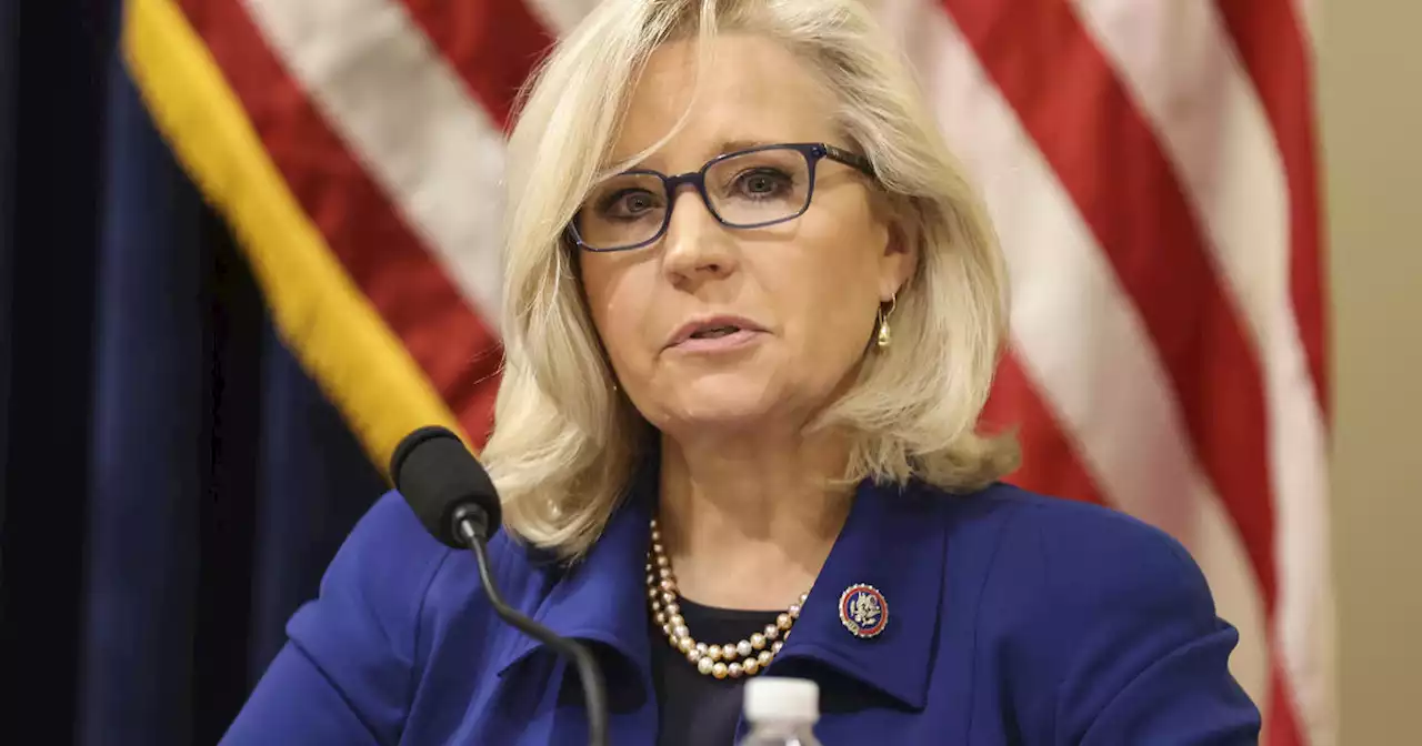 Liz Cheney sets personal fundraising record ahead of August primary