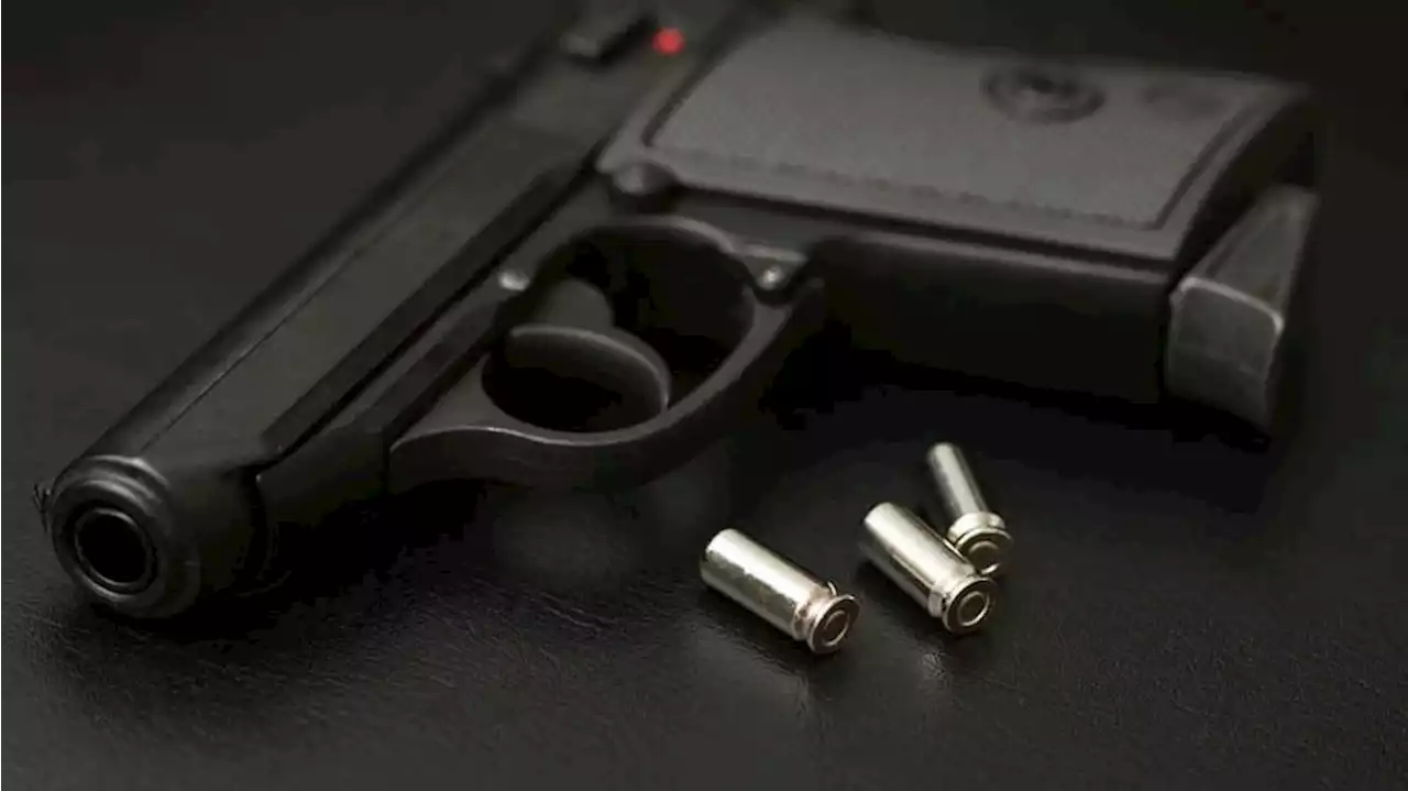 Study finds higher homicide risk in homes with handguns