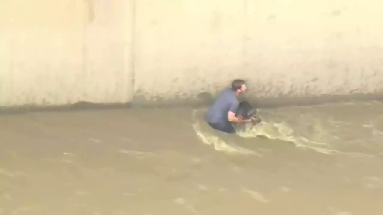 WATCH: Man pulled from raging river after attempted rescue of dog caught in current