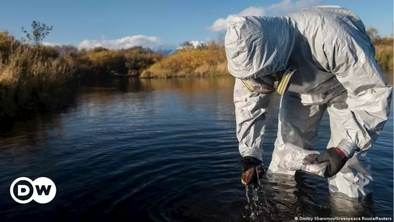 Экологи из РФ просят Минюст признать Greenpeace и WWF 'иноагентами' | DW | 11.04.2022