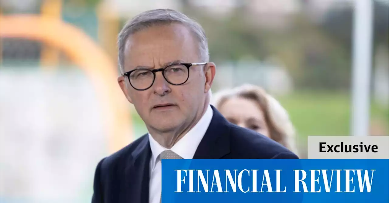 Albanese’s casual jobs claim is ‘wrong’, according to ABS data