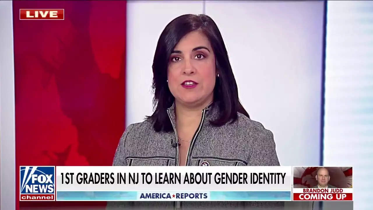 Democrats' 'destructive' policies will catapult GOP to a 'big win' in November: Rep. Malliotakis