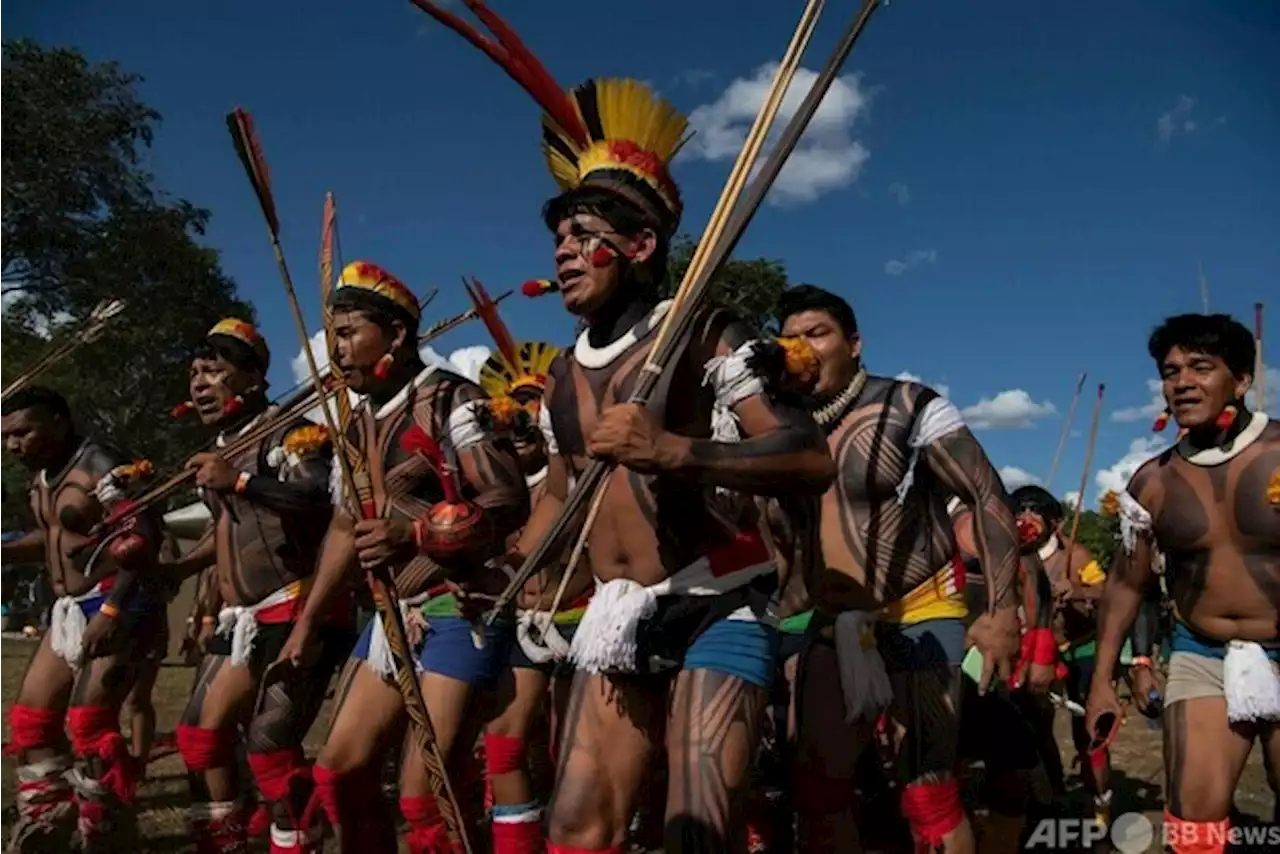 先住民の土地と権利の保護を、ブラジル首都でデモ - トピックス｜Infoseekニュース