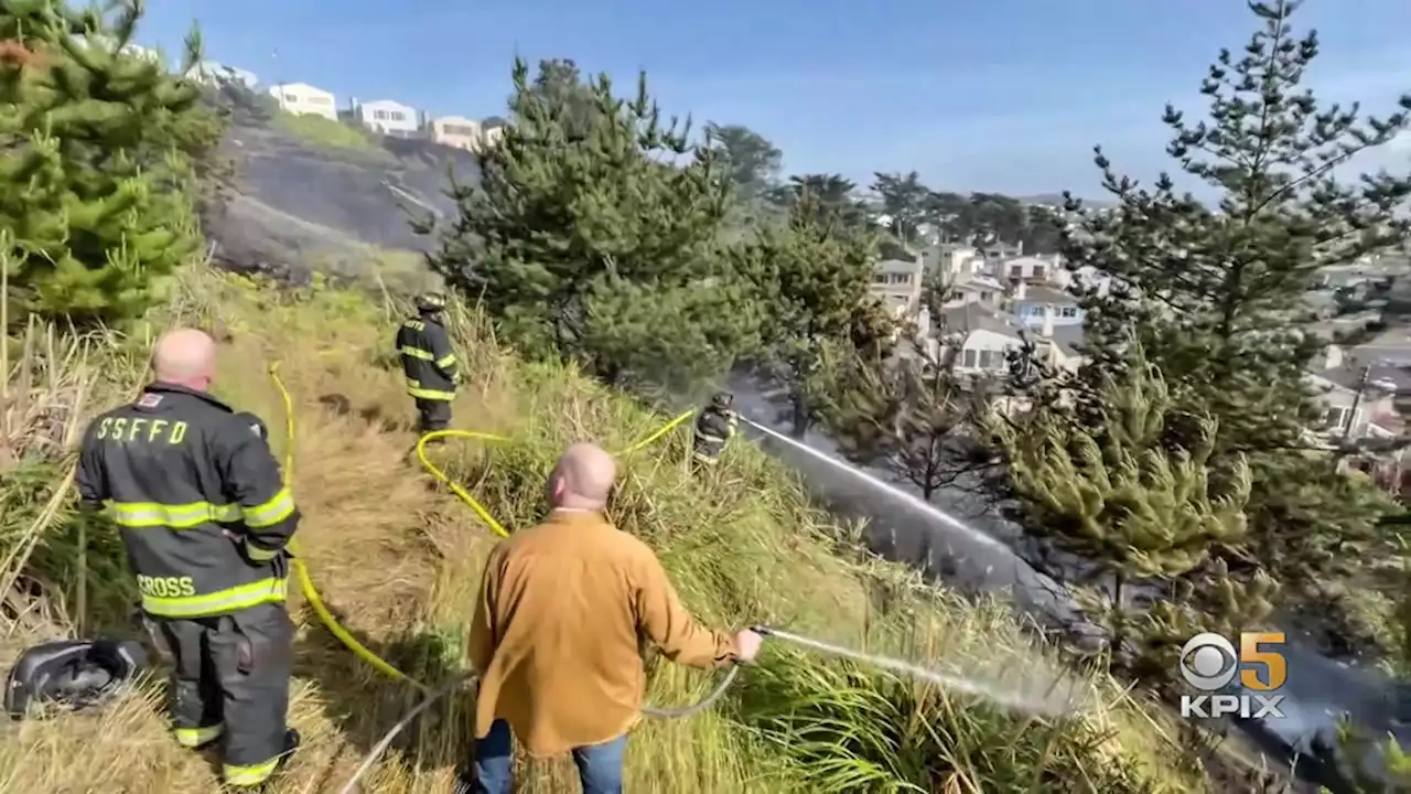 Hillside Brush Fire Burns Close to Daly City Home