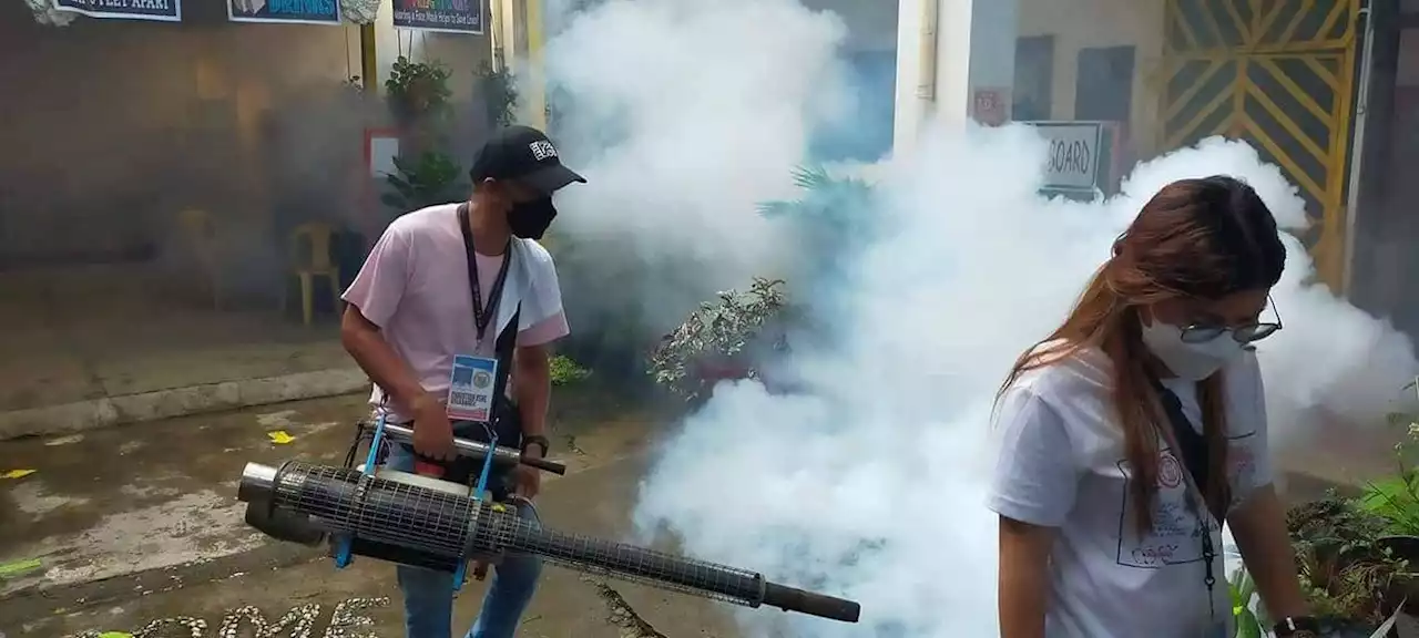 Zamboanga City declares dengue outbreak