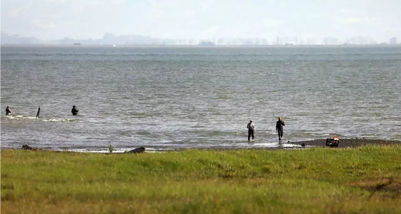 Wet weather for Bay, snow for Sierra to follow windy weekend