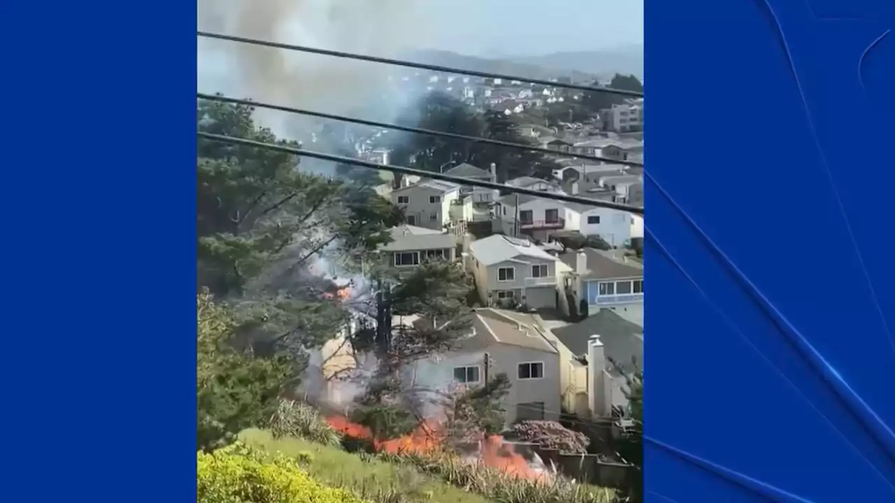 Crews Stop Spread of Brush Fire in Daly City