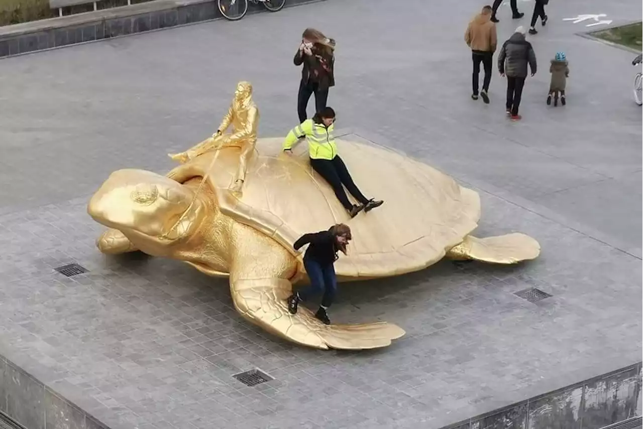 Iconische schildpad van Jan Fabre opnieuw slachtoffer van vandalisme: “Ik word er ziek van”