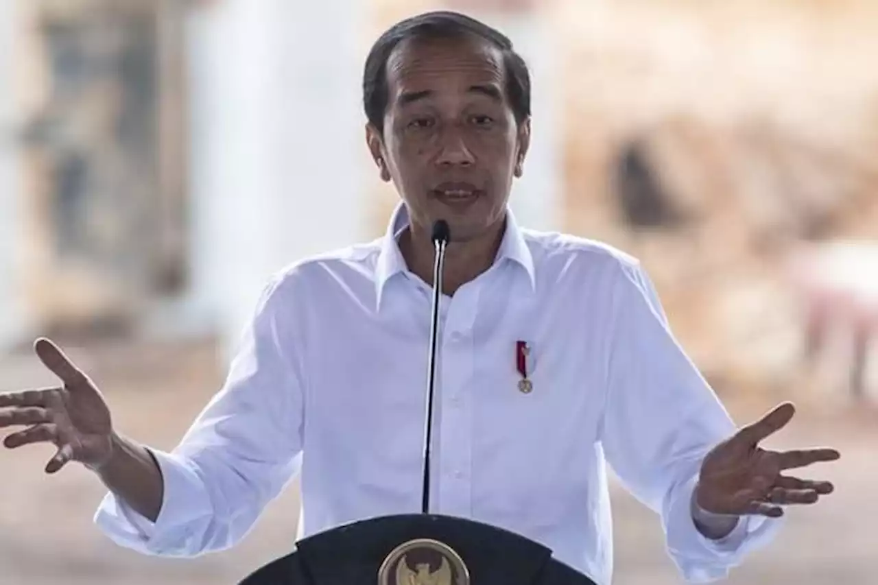 Demo 11 April Menggelora, Jokowi Dinilai Mustahil Mengecoh Media Asing yang Ikut Meliput - Pikiran-Rakyat.com