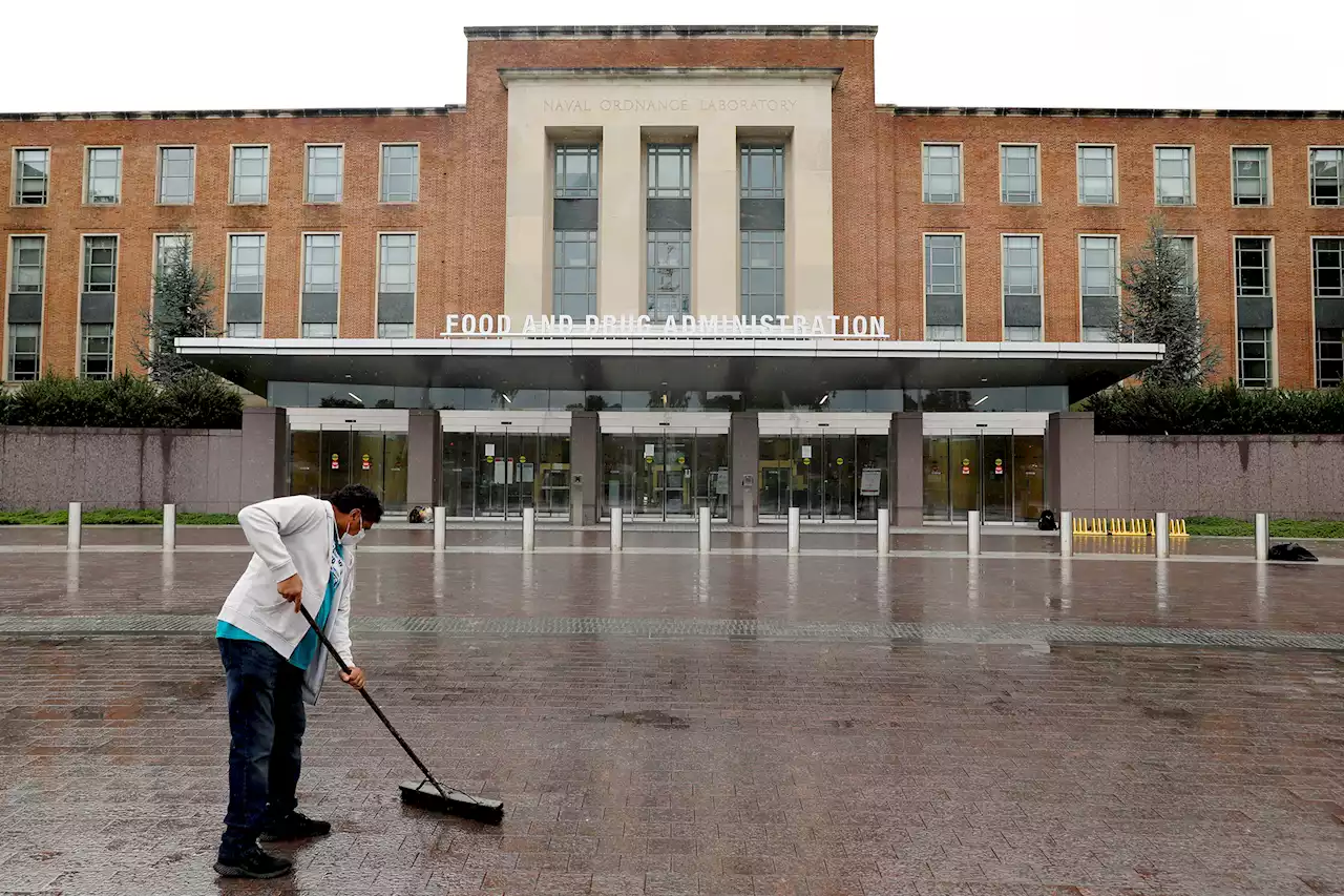 Field mice seek refuge in FDA’s Maryland headquarters