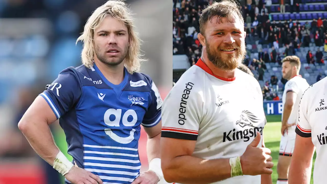 Saffas Abroad: Mixed fortunes for Boks in Europe, Kwagga gets hat-trick in Japan