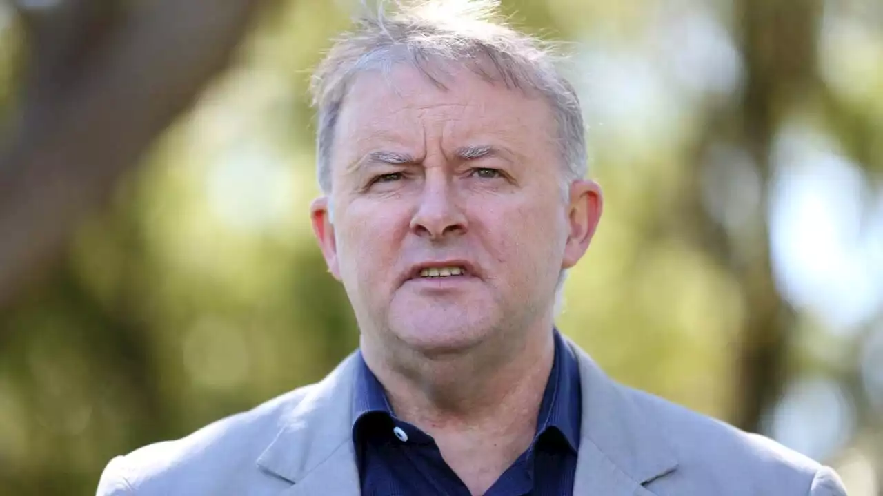 &#8216;Not a good start&#8217; for Albanese on first full day of election campaign