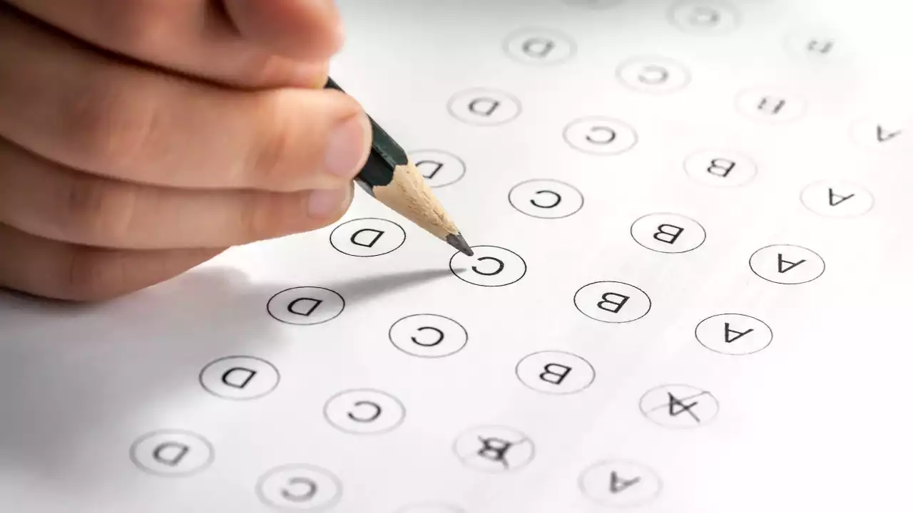 Albanese fails on ‘fundamental’ Yr 12 economics: HSC tutor