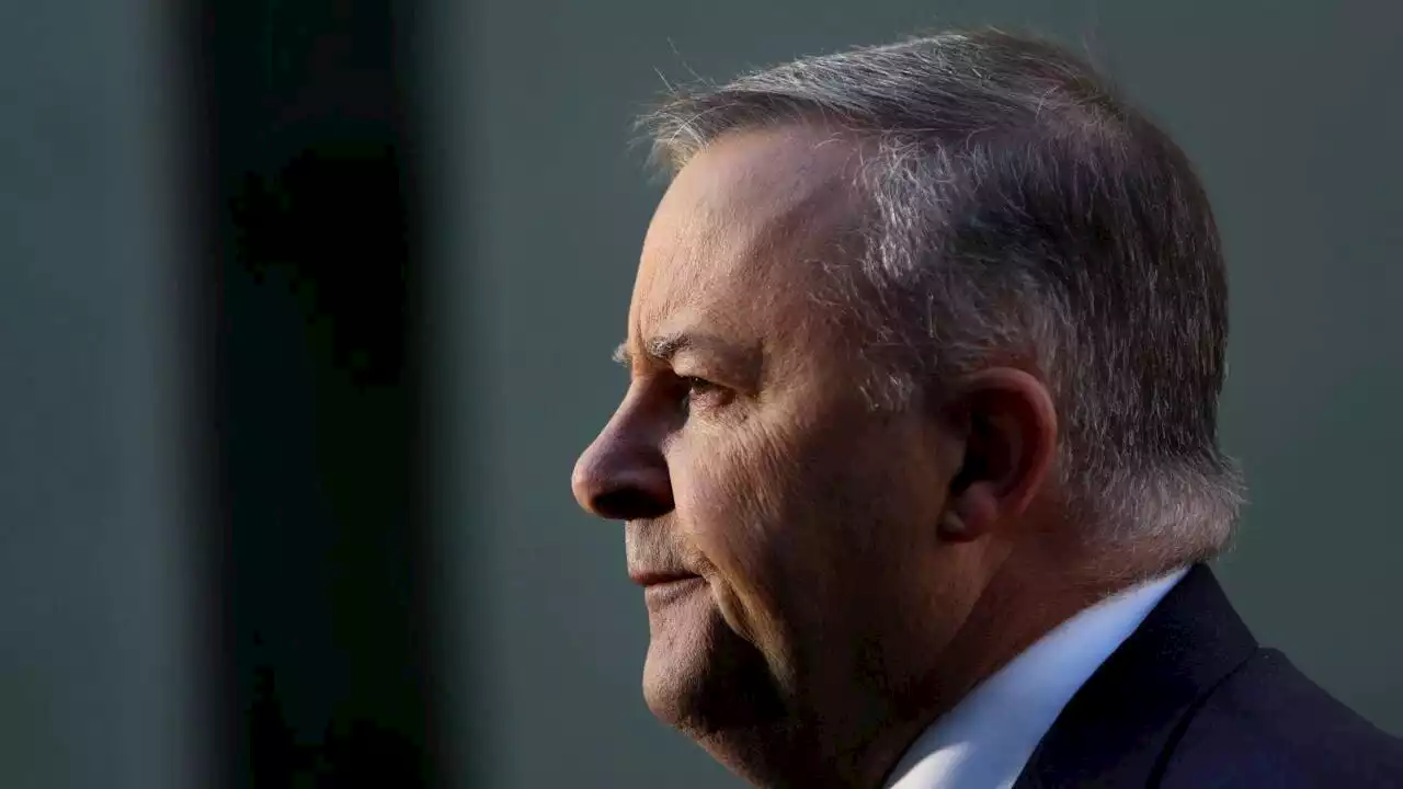 Albanese unveils his &#8216;most dangerous&#8217; weakness: Bolt