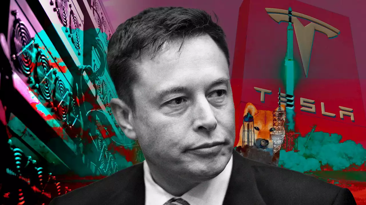 Elon Musk won't join Twitter's board