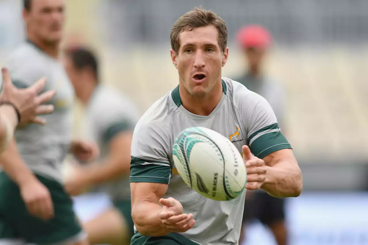 Goosen to bolster Bok flyhalf stocks? Nienaber keen to get to know Bulls No 10