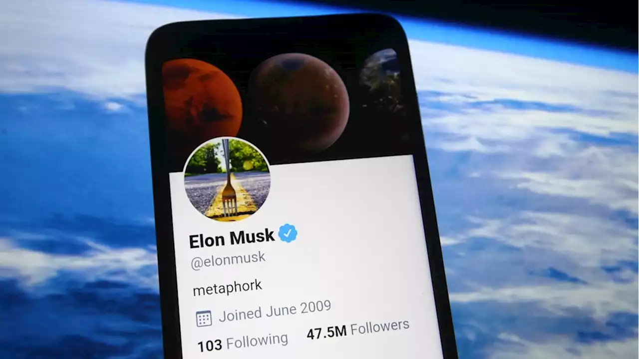 Musk's pass on Twitter board could hint at 'Game of Thrones' battle ahead