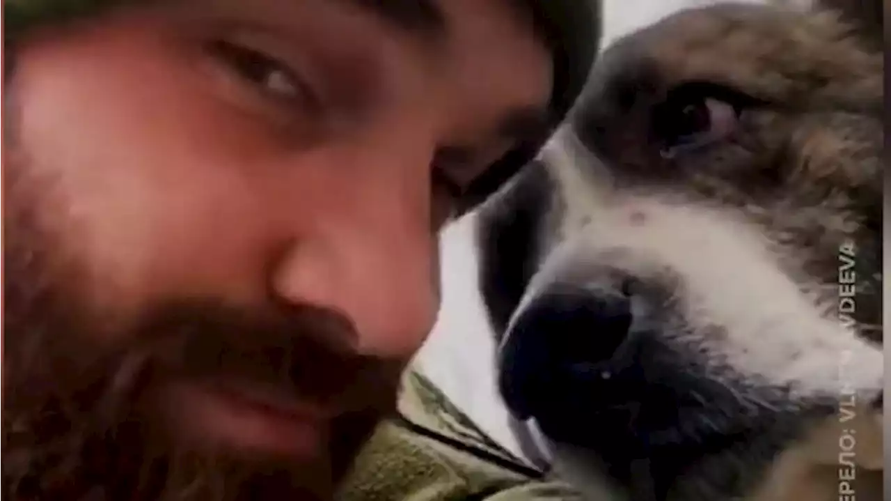 Video of Ukrainian soldiers with pets shows their softer side