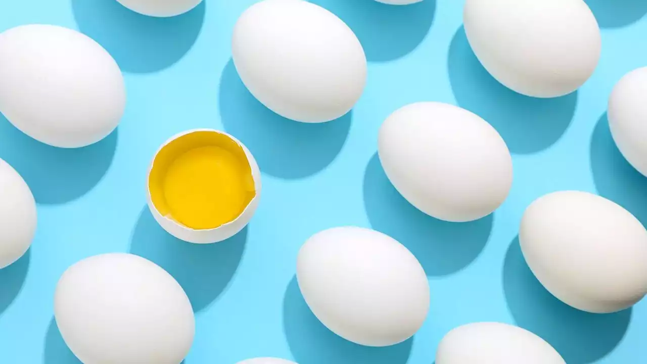 All about eggs: Everything you should know