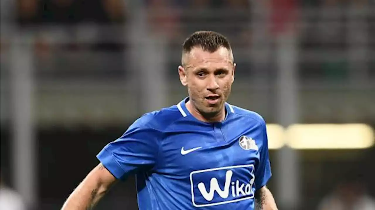 Cassano duro contro il Napoli: 'Fabian Ruiz inguardabile da 4 mesi, anche Zielinski un flop' - TUTTOmercatoWEB.com