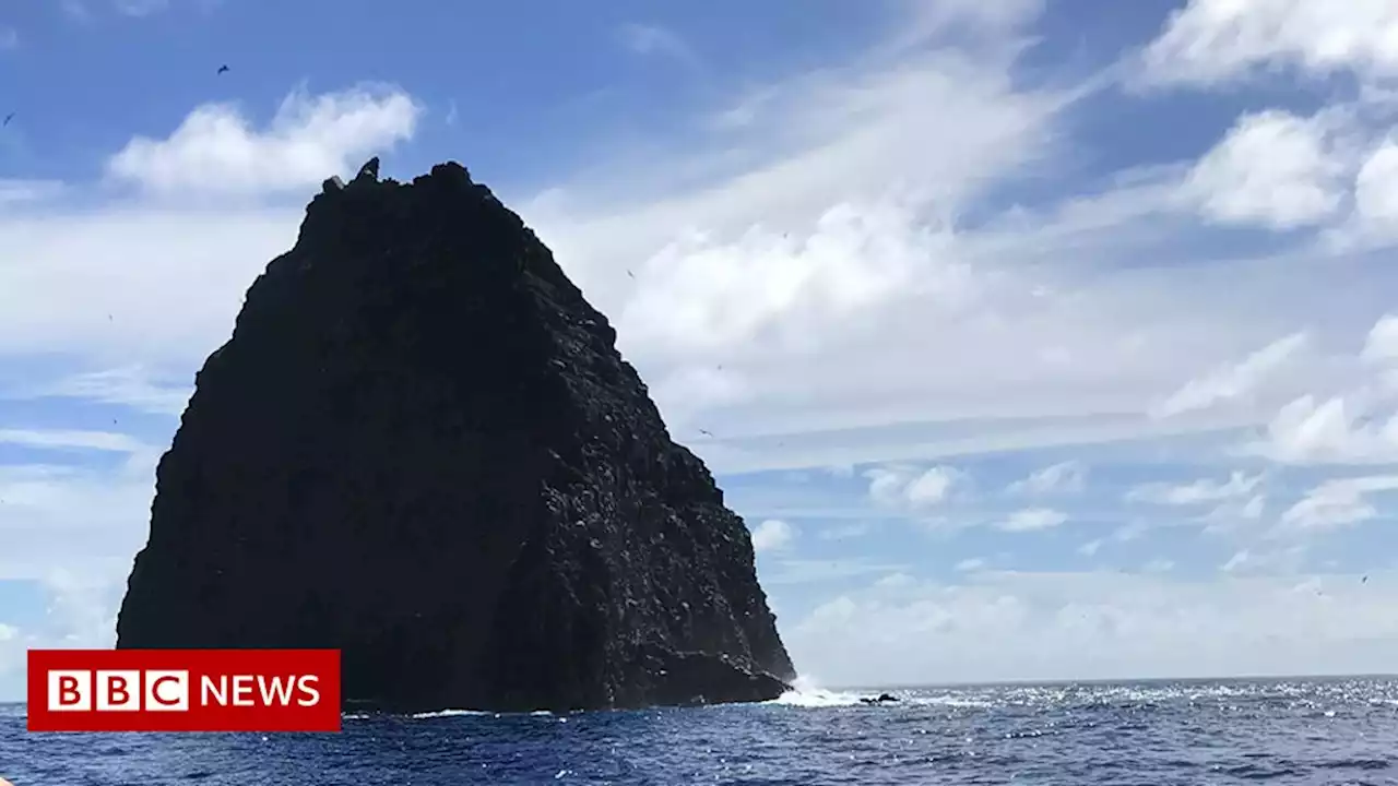 NZ professor snorkels over Tonga volcano