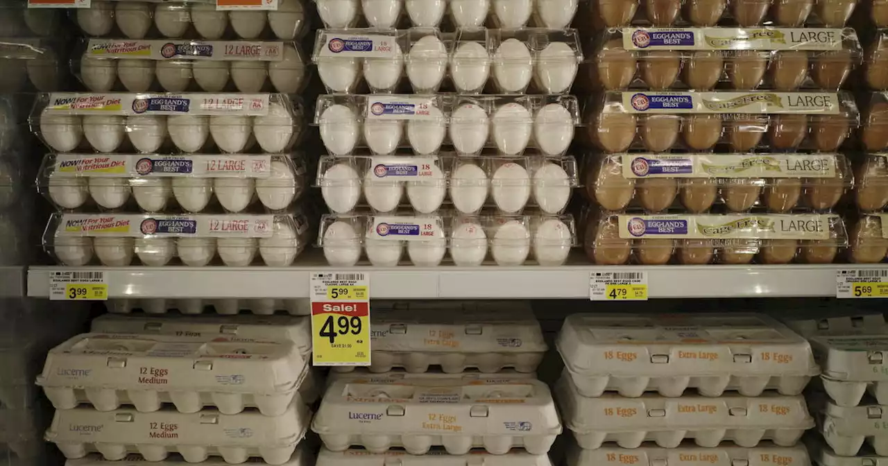 Why egg prices are soaring