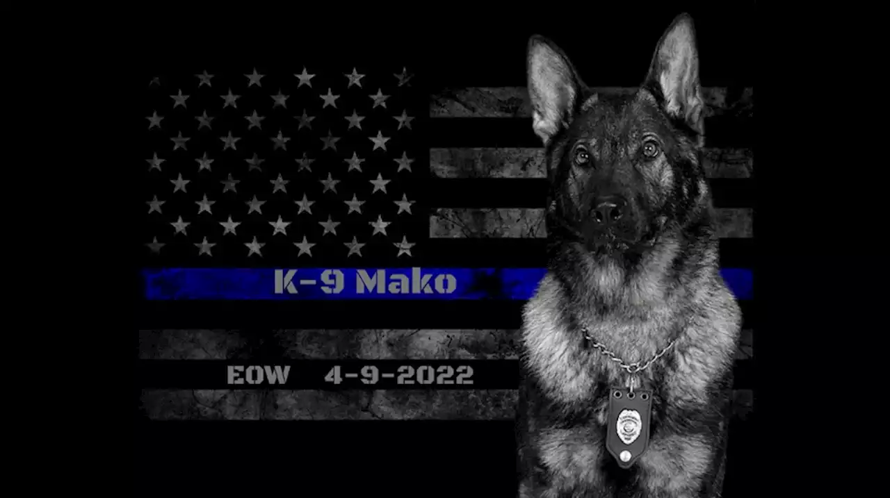 4-year-old Ravenna Police K-9 Mako dies due to ‘several medical conditions’