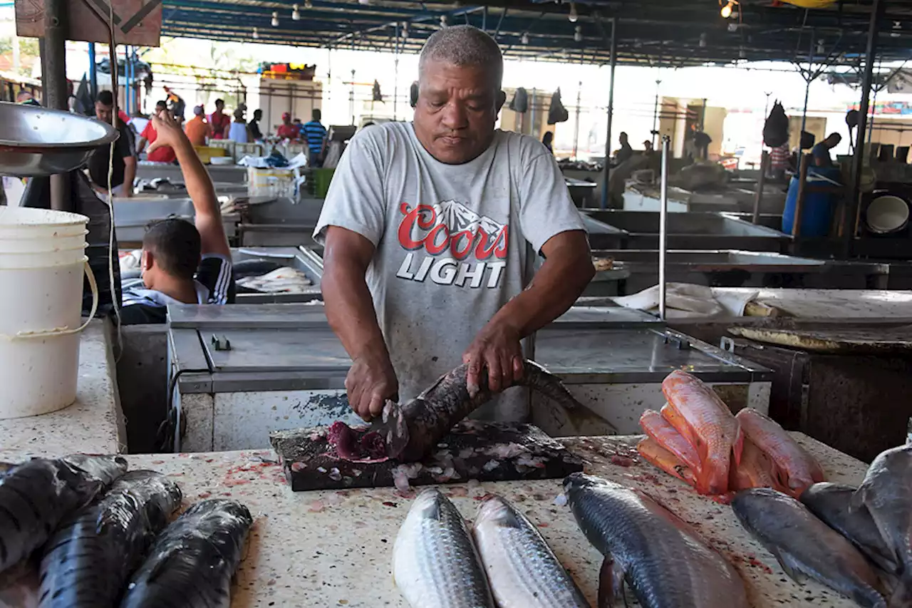 Consumo de pescado en Semana Santa aumenta hasta en un 50 %