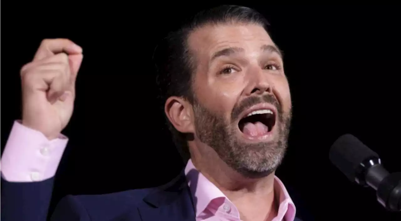 Trump Jr. Reportedly Texted Plans To Overturn Results Just After Election Day