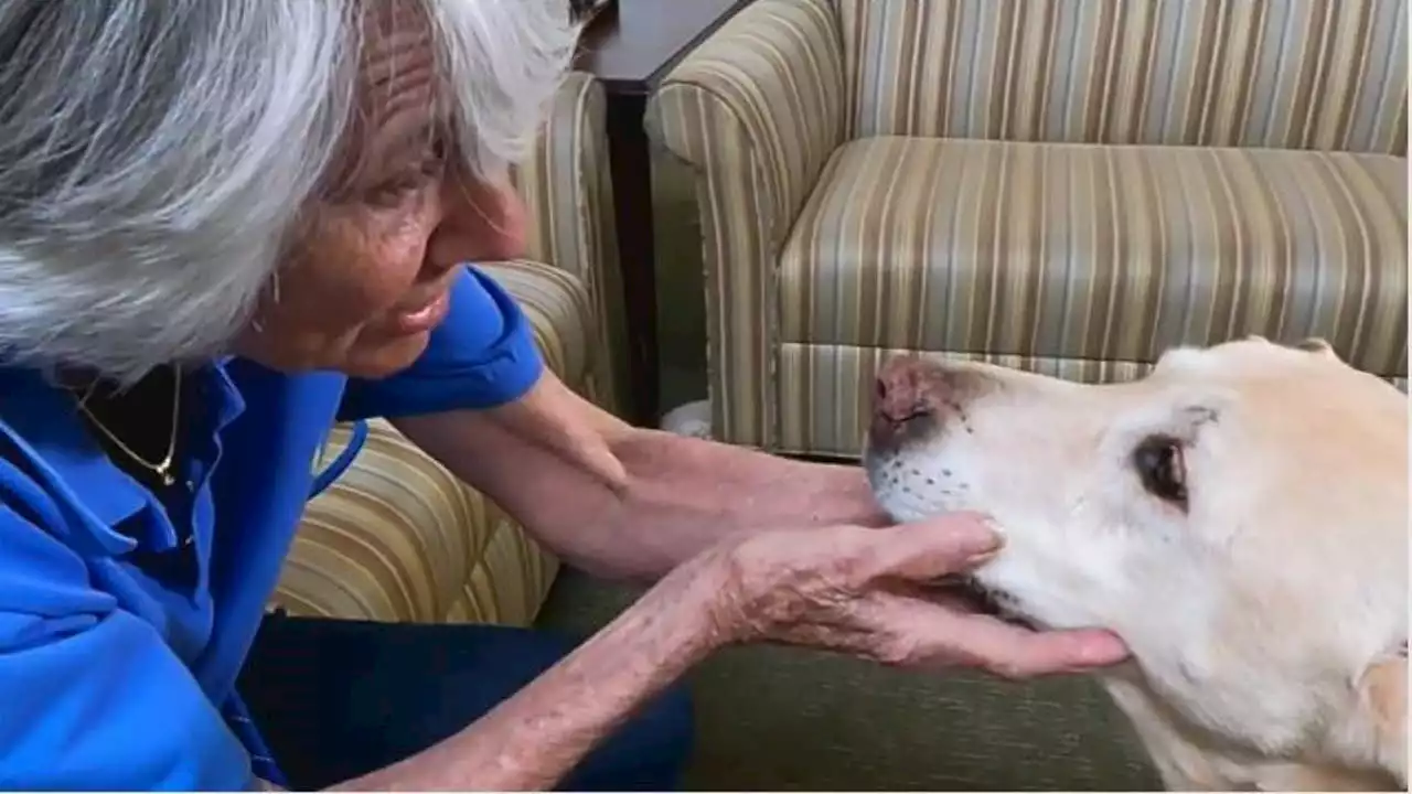 Senior living community in Houston adopts senior dog