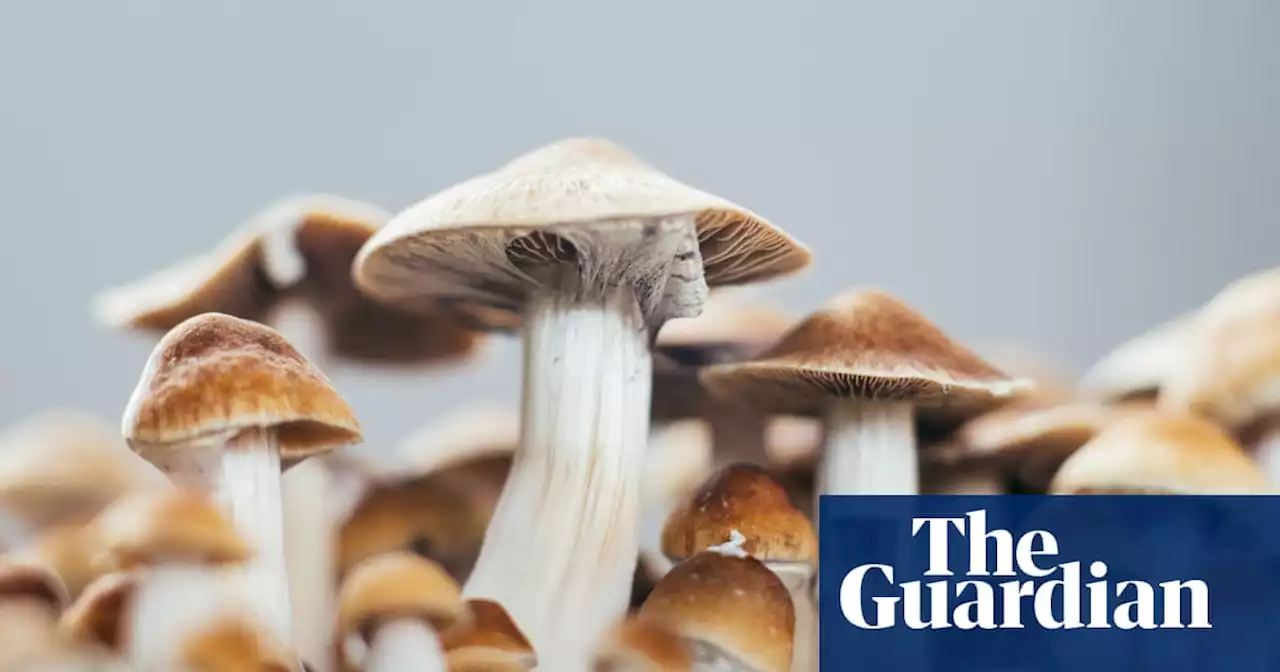 Psilocybin for depression could help brain break out of a rut, scientists say