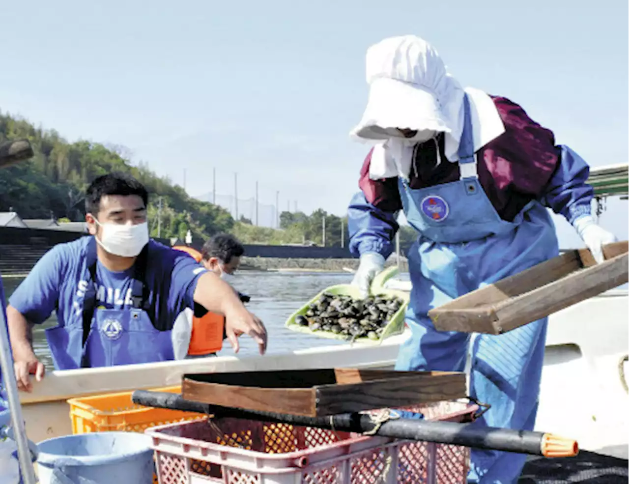 熊本アサリ漁再開、歓迎する小売店…卸売業者は慎重「消費者はまだ産地偽装を許していない」 - トピックス｜Infoseekニュース