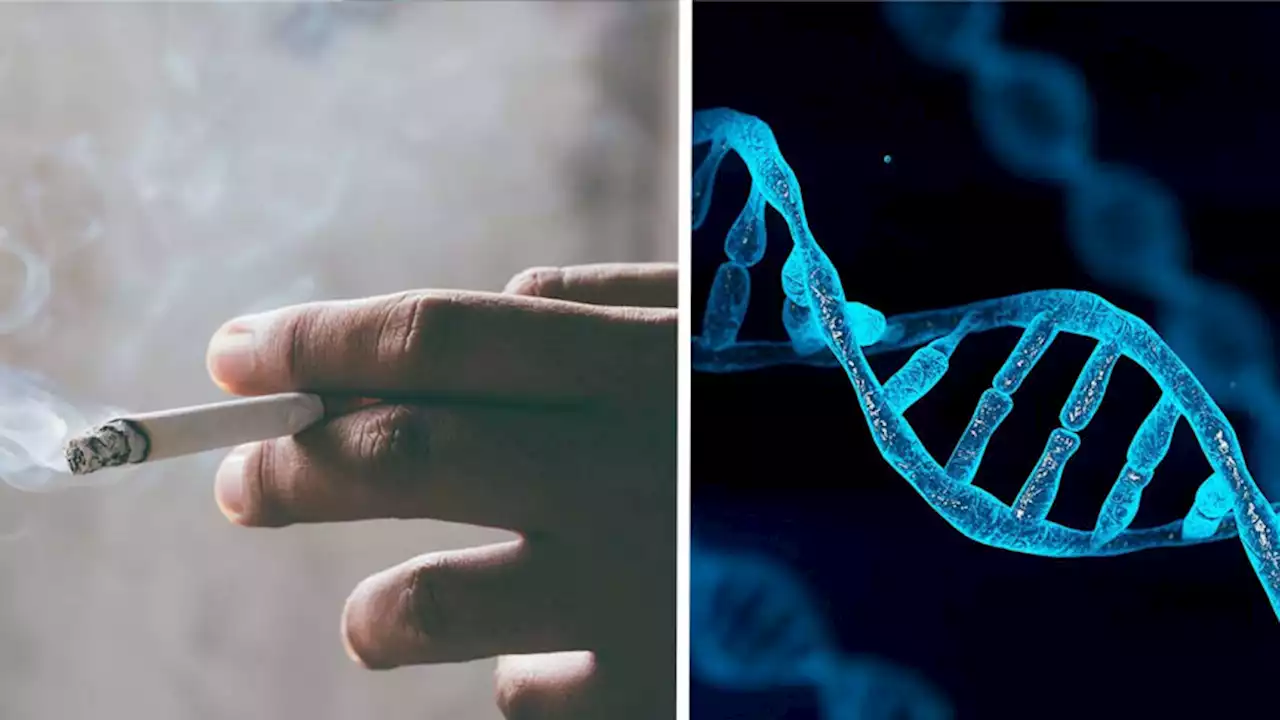 A breakthrough in DNA sequencing hints at why most smokers don't get lung cancer