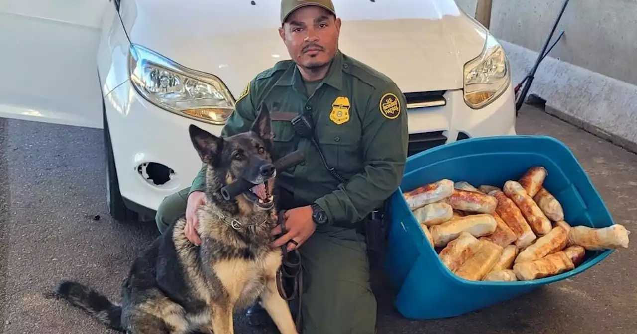 Border Patrol K9 sniffs out 85 pounds of strangely wrapped fentanyl