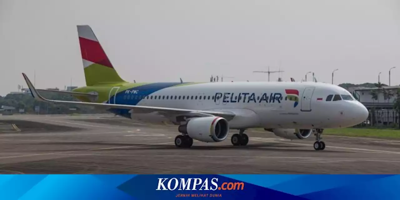 Pelita Air, Anak Usaha Pertamina, Melawan Dominasi Garuda dan Lion Air