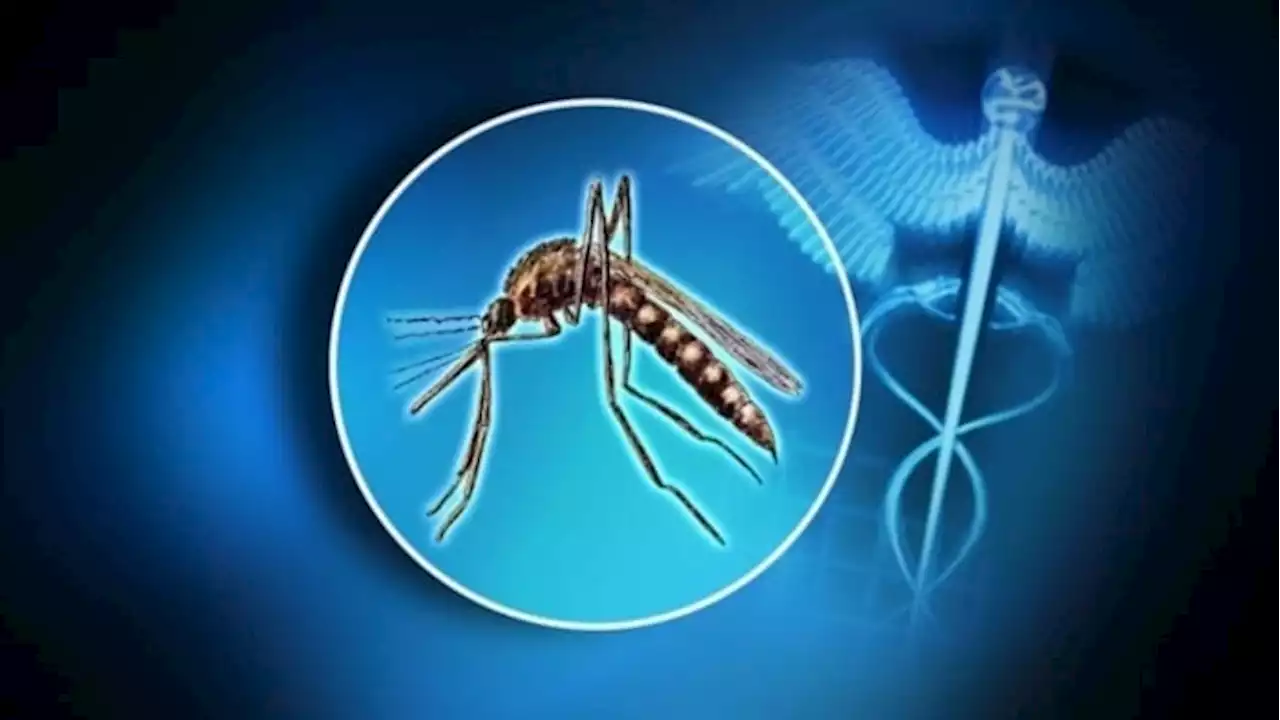 Texas reports first West Nile case of 2022 in Dallas County