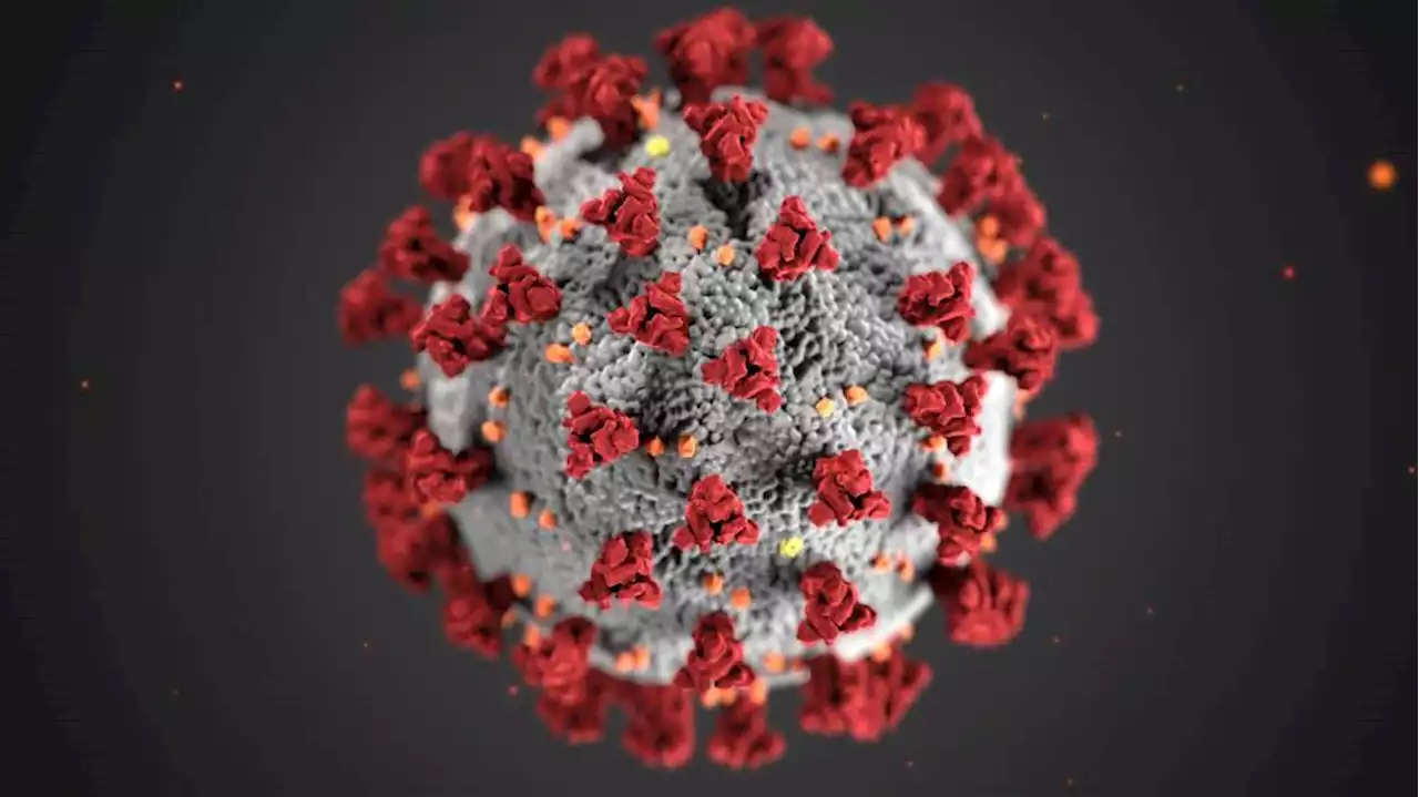 Covid 19 variants' transmissibility not always linked to severity, expert says