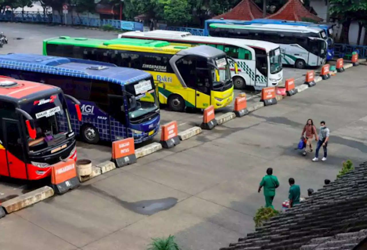 Sambut Positif Kebijakan Mudik Tahun Ini, Organda DKI: 8 Ribu Bus Siap Antar Pemudik