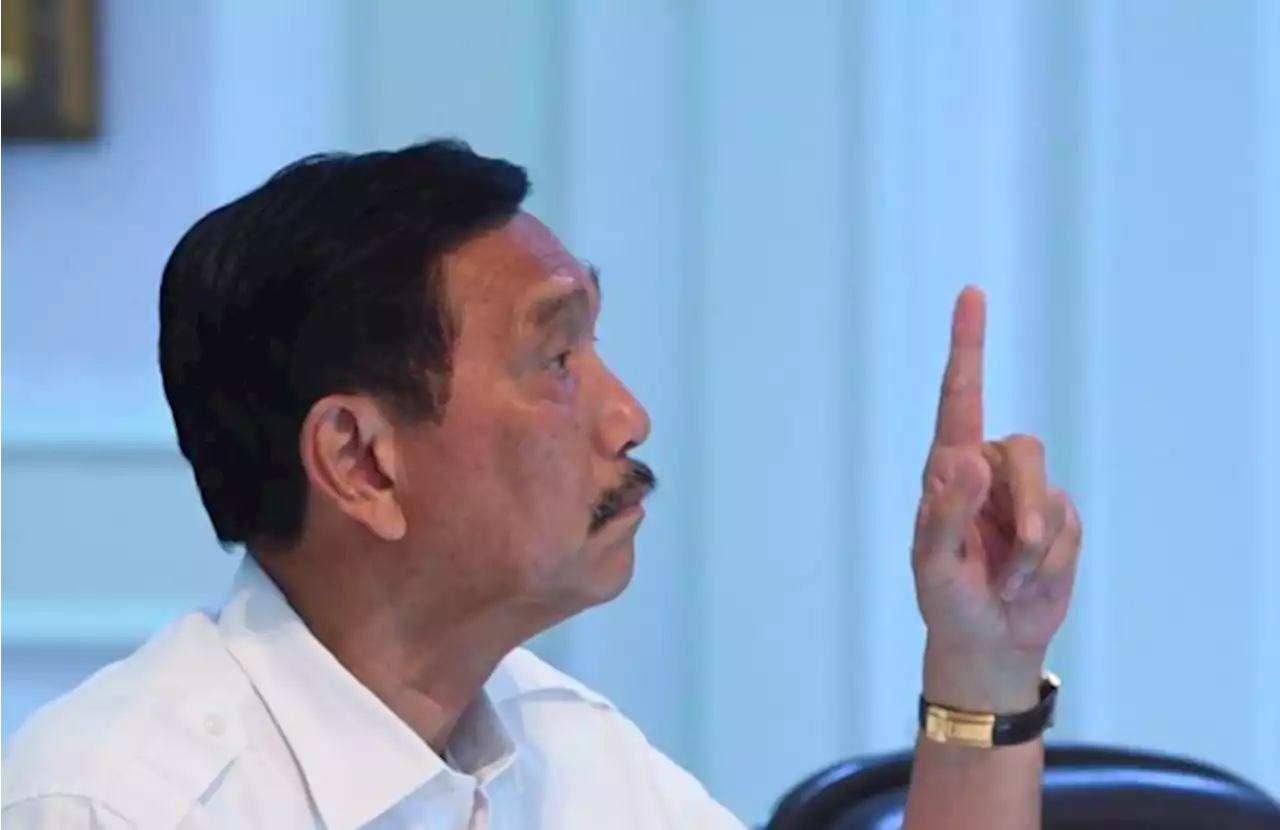 Temui BEM UI, Luhut Minta Mahasiswa Belajar Demokrasi