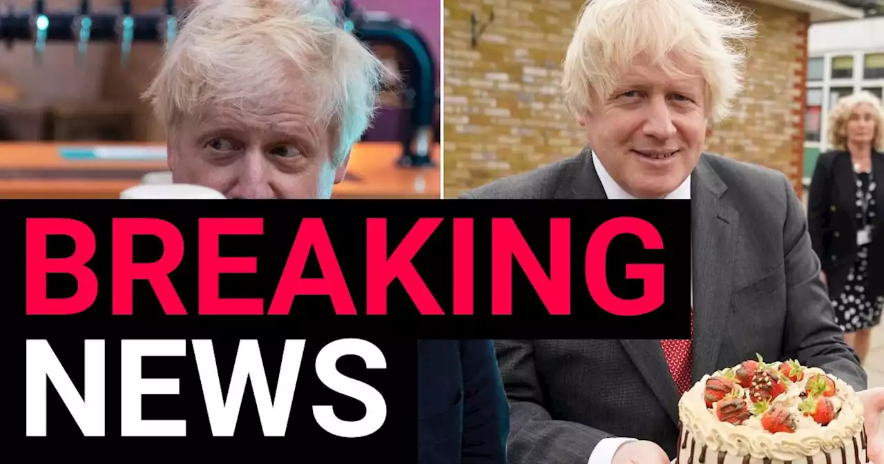 Boris was fined because of going to party where he was 'ambushed with a cake'