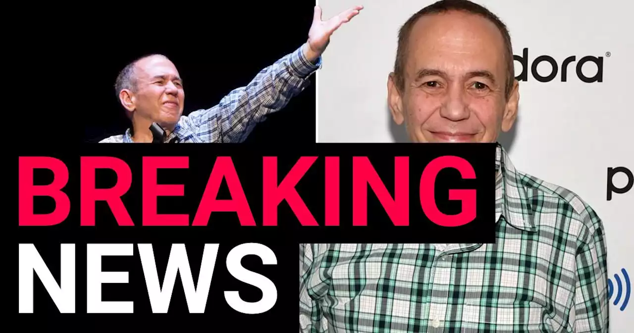 Gilbert Gottfried dies aged 67 after a long illness