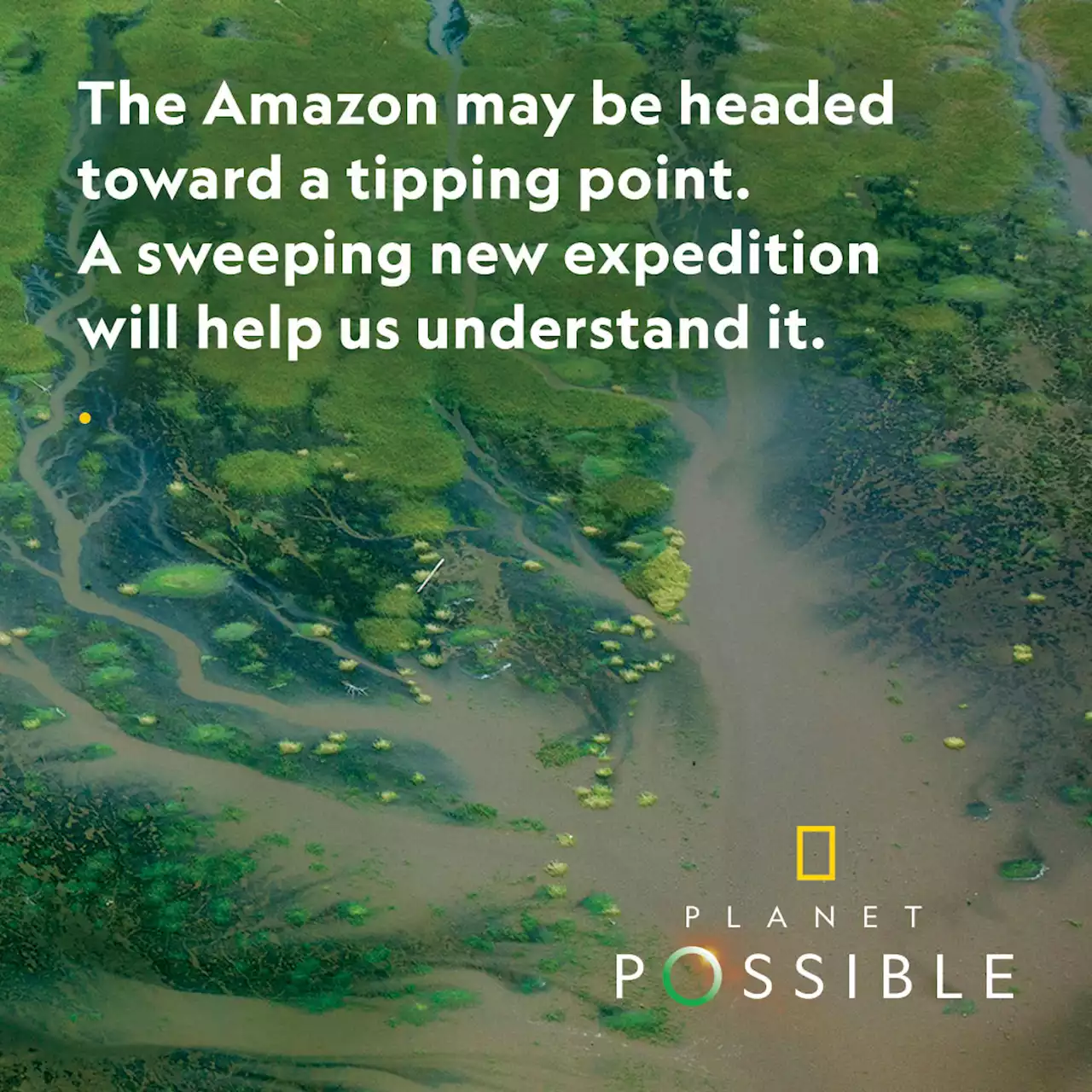 This visionary inspired Amazon conservation—and a new Nat Geo expedition