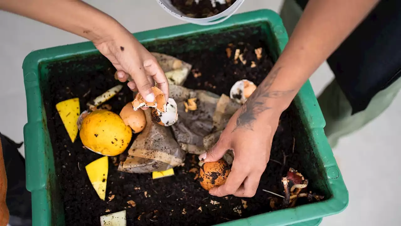 Your guide to composting with kids