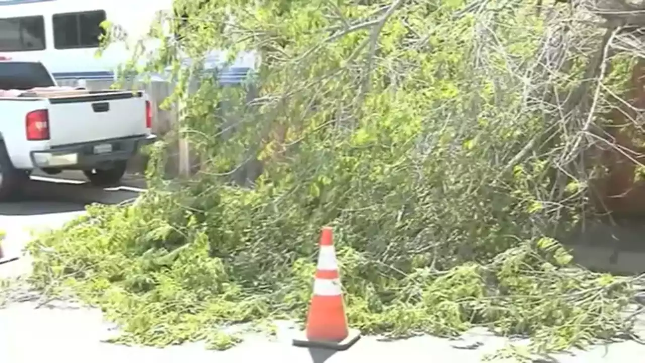 Strong Winds Cause Some Damage in the Bay Area