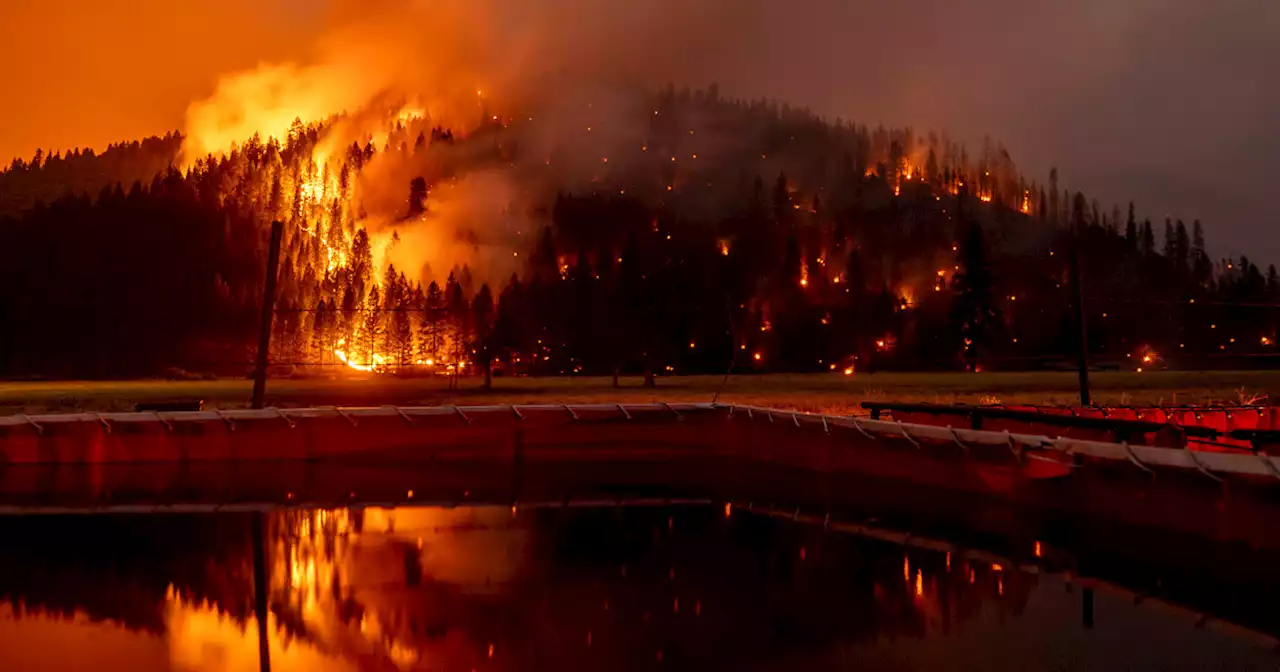 California utility to pay $55 million in massive wildfires