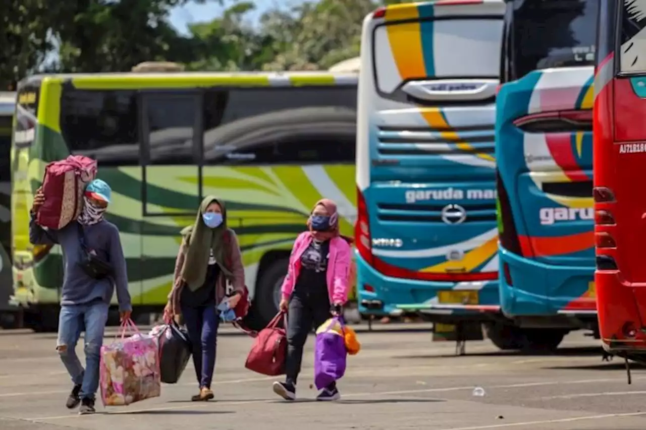 DKI Jakarta Siapkan 492 Bus Gratis untuk Mudik , Simak Cara Ikut dan Persyaratannya - Pikiran-Rakyat.com